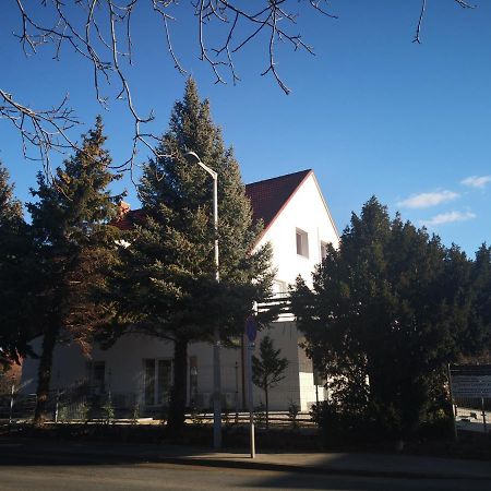 Thomas Panzio Bed & Breakfast Balatonfured Luaran gambar